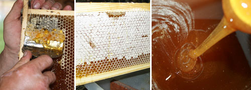 100% натуральный мёд